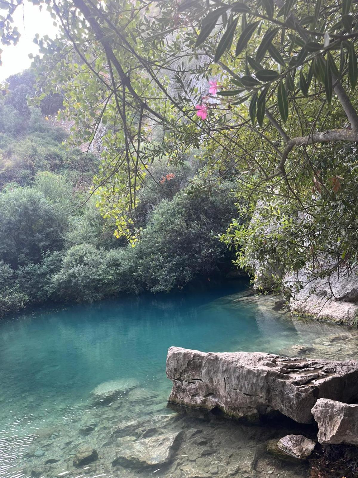 Casa El Cerro Villa Cortes de la Frontera Eksteriør bilde