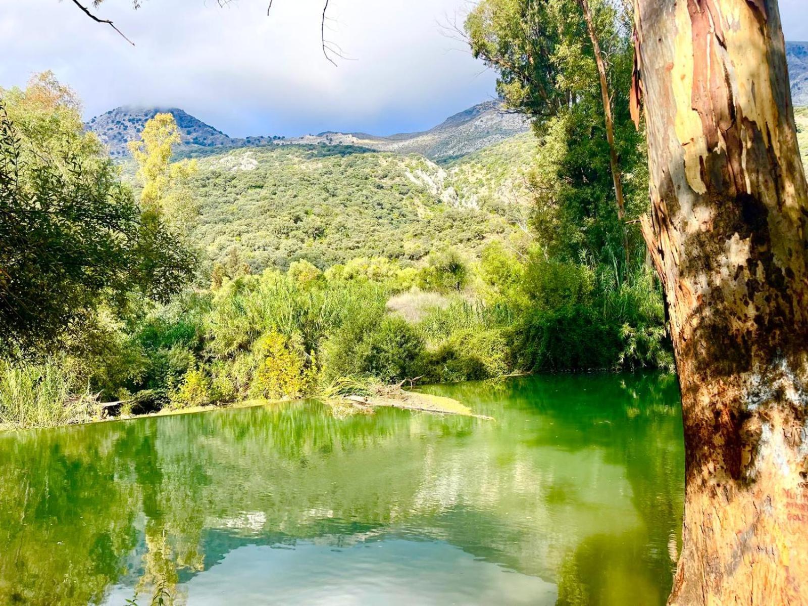 Casa El Cerro Villa Cortes de la Frontera Eksteriør bilde
